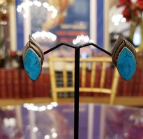 Sterling Silver and Turquoise Earrings